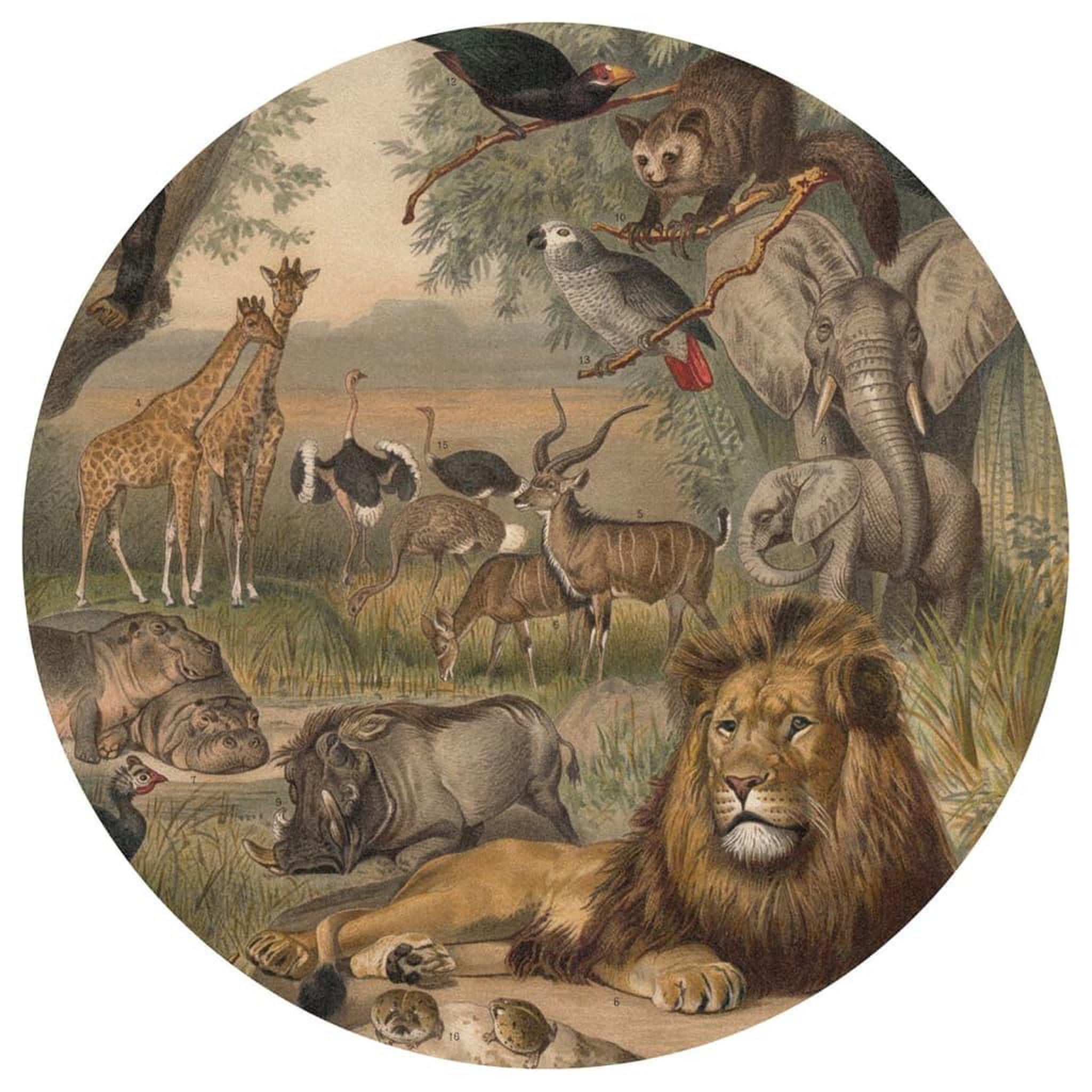Voir la diapositive 2 : WallArt WallArt Papier peint cercle Animals of Africa 190 cm