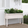 Voir la diapositive 1 : VIDAXL Jardinieres avec pieds blanc 110x31x70 cm bois de pin massif