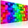 Multicolore