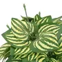 VIDAXL Plante artificielle Feuilles de pasteque avec pot Vert 45 cm