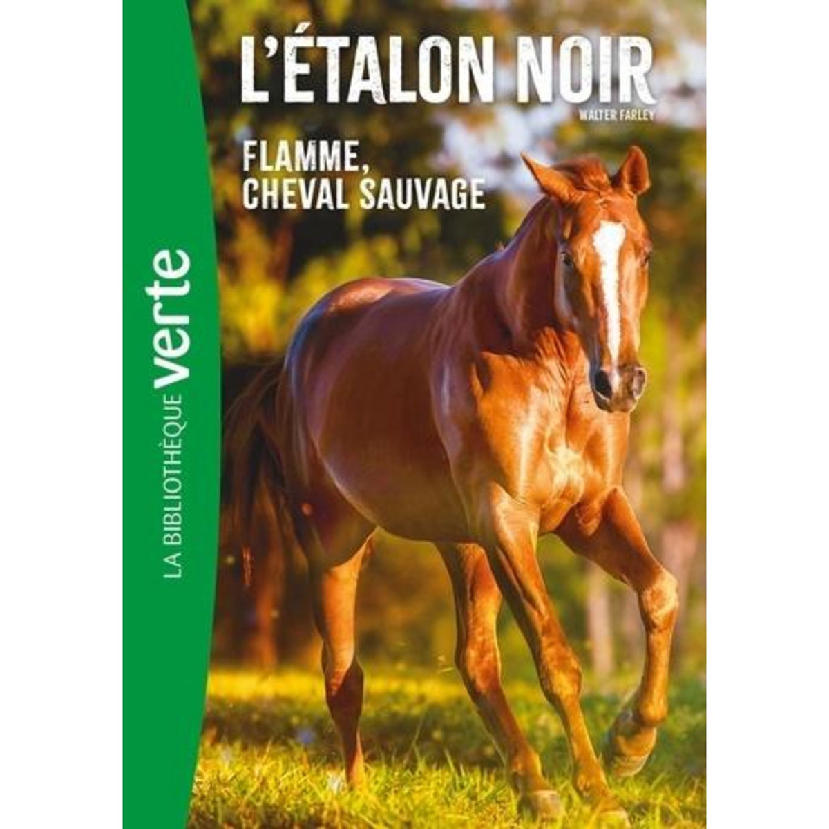 L'ETALON NOIR TOME 10 : FLAMME, CHEVAL SAUVAGE, Farley Walter