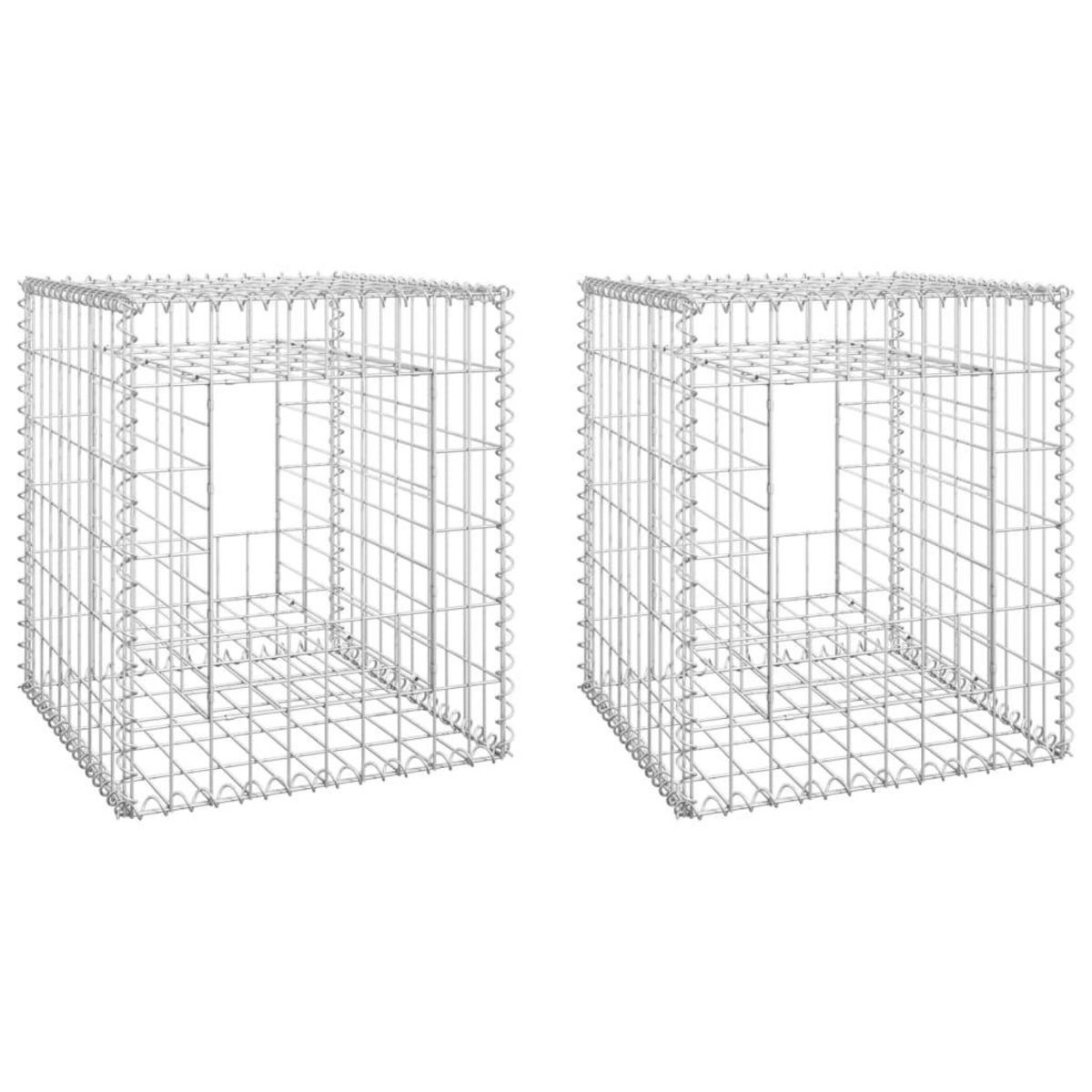 VIDAXL Poteaux a panier de gabion 2 pcs 50x50x60 cm Fer