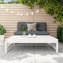 Voir la diapositive 3 : VIDAXL Repose-pied de jardin 120x80 cm blanc bois de pin massif