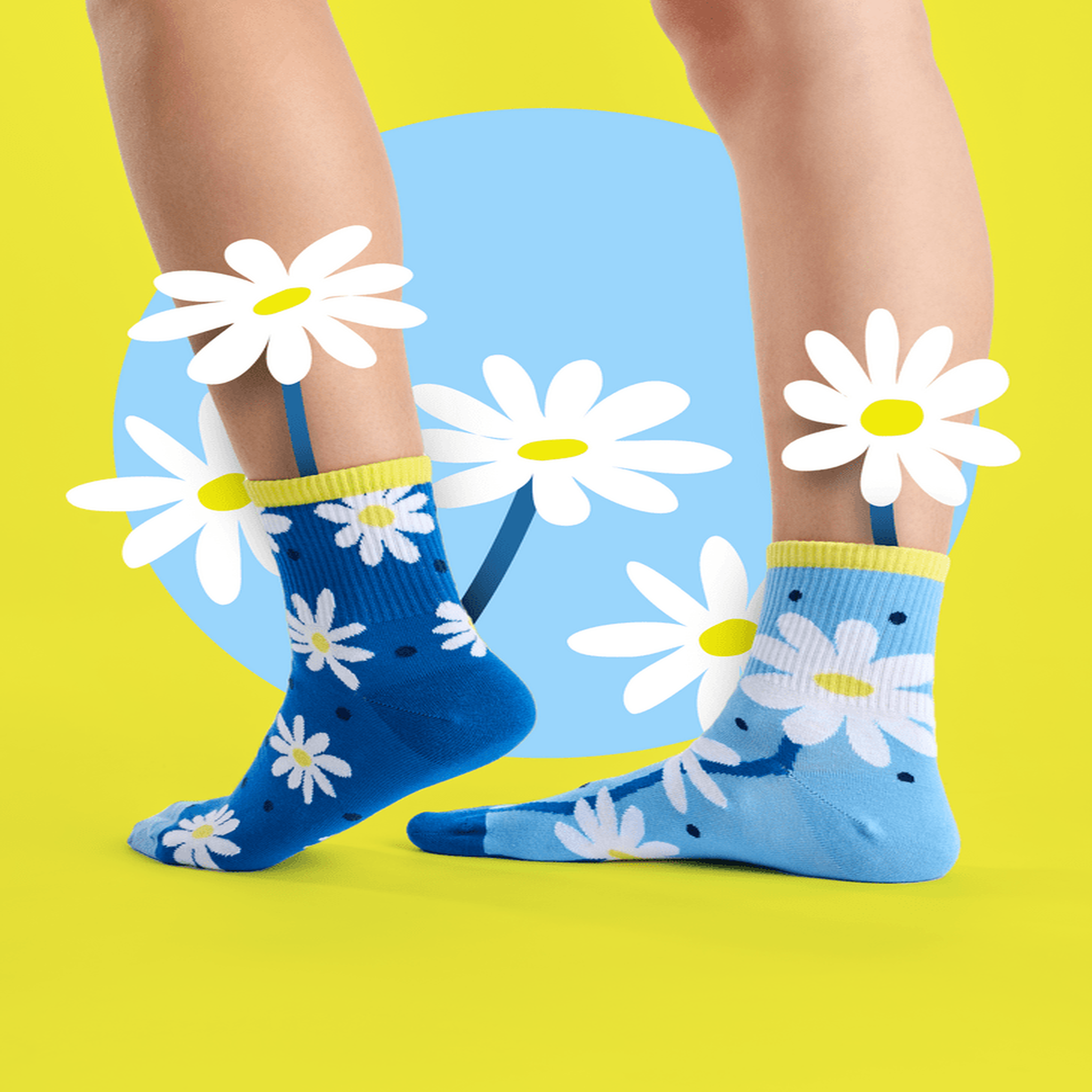 Voir la diapositive 4 : DEDOLES Chaussettes courtes marguerites et points