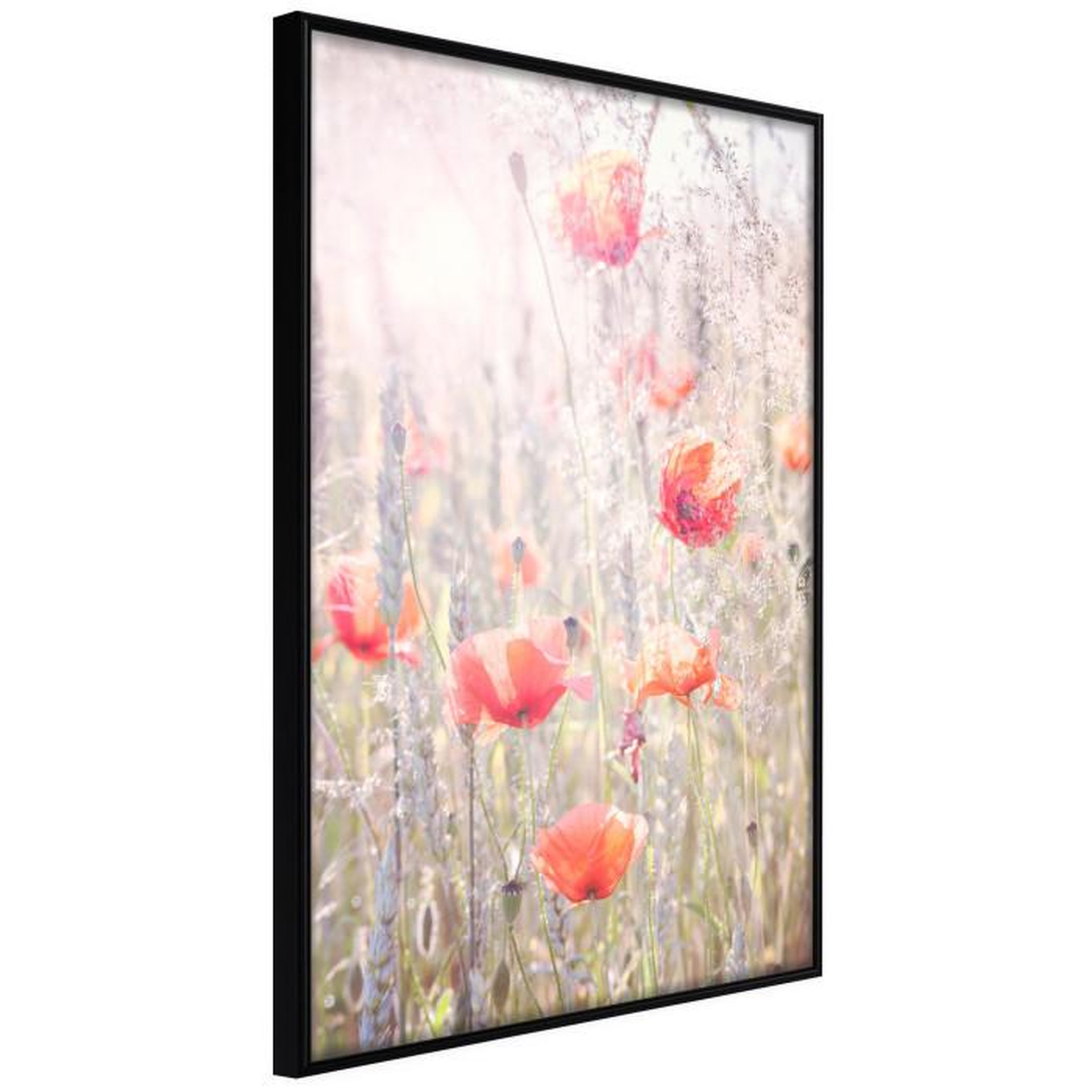 Paris Prix Affiche Murale Encadrée  Poppies. Coloris disponibles : Jaune, Noir