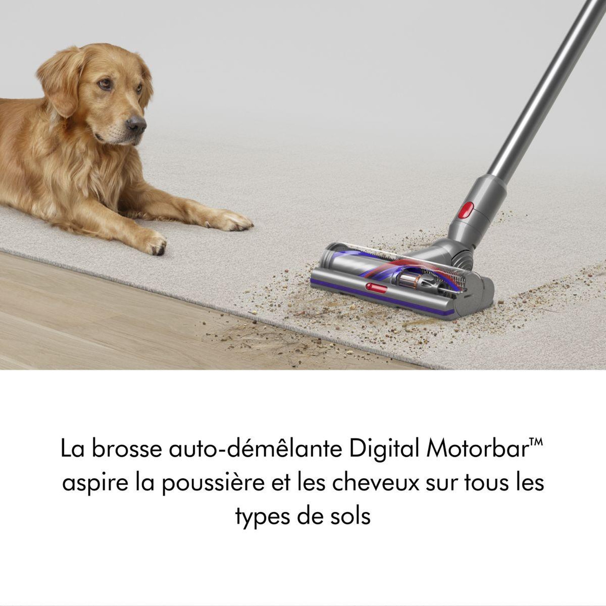 Voir la diapositive 5 : Dyson Aspirateur balai v15 detect absolute