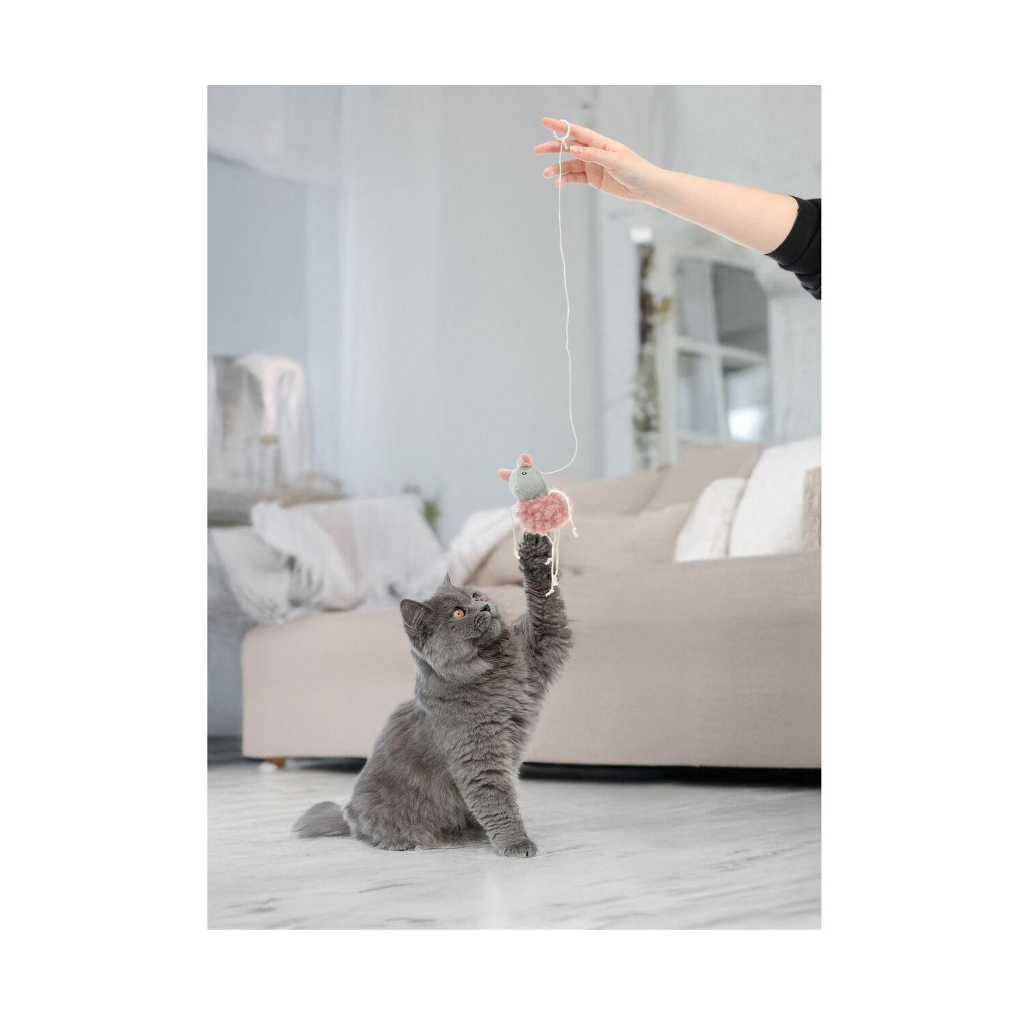Voir la diapositive 4 : Eden Jouet suspendu gripi souris avec catnip peluche pour chat