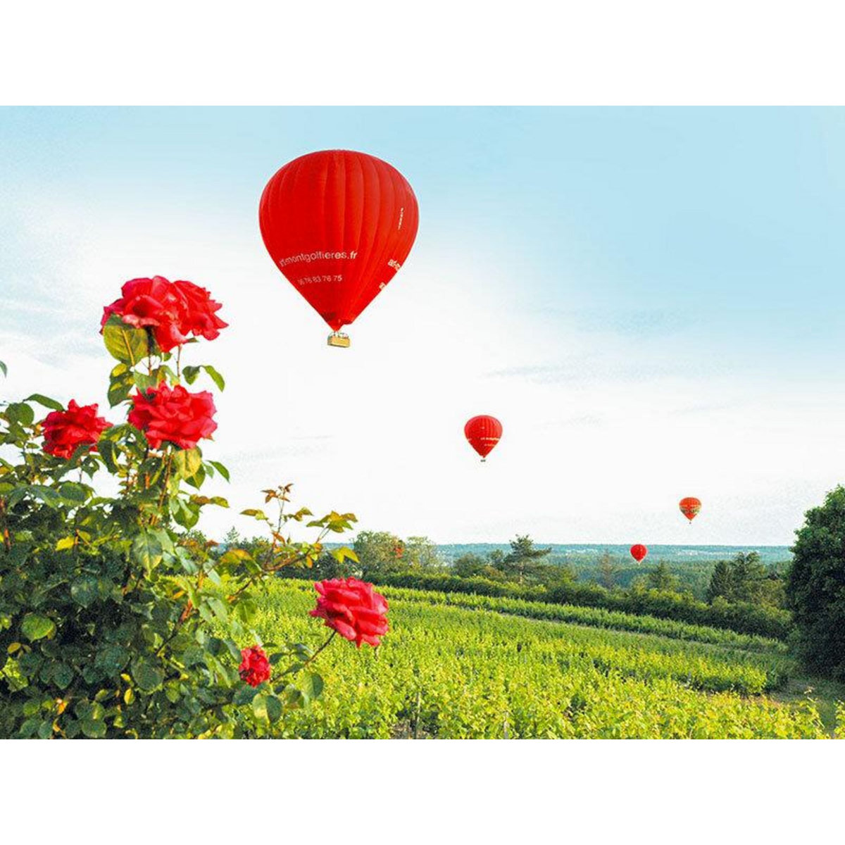 Smartbox Vol en montgolfière au-dessus de la Vallée de la Loire - Coffret Cadeau Sport & Aventure