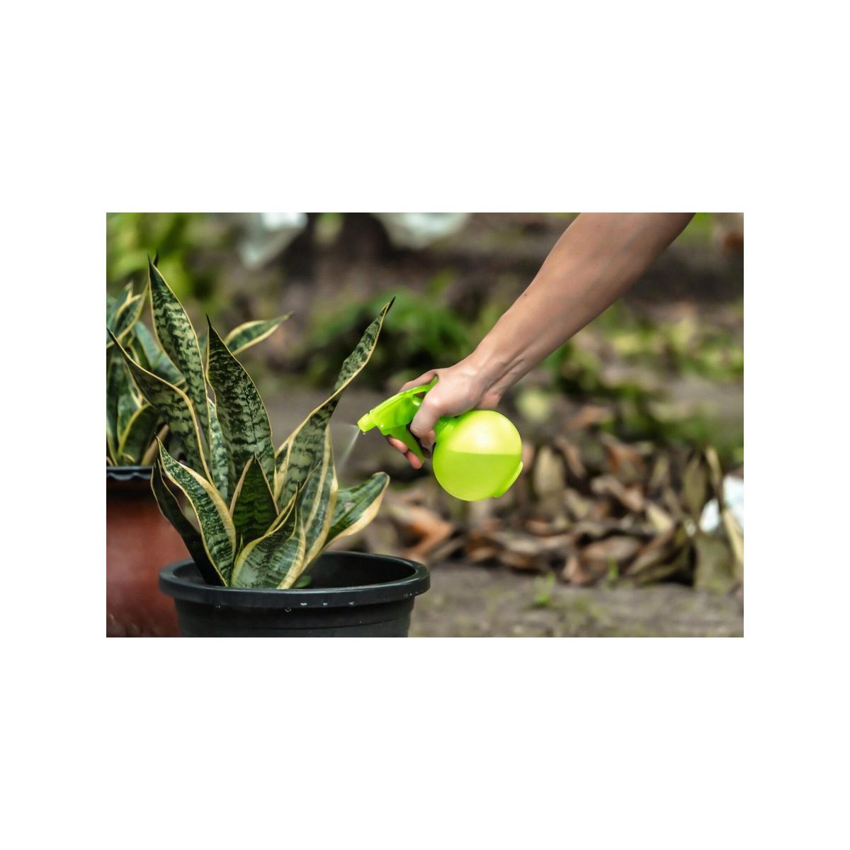 SUAN Flacon pulvérisateur - Suan - Multiusages pour le jardin et la maison - Contenance : 450 ml