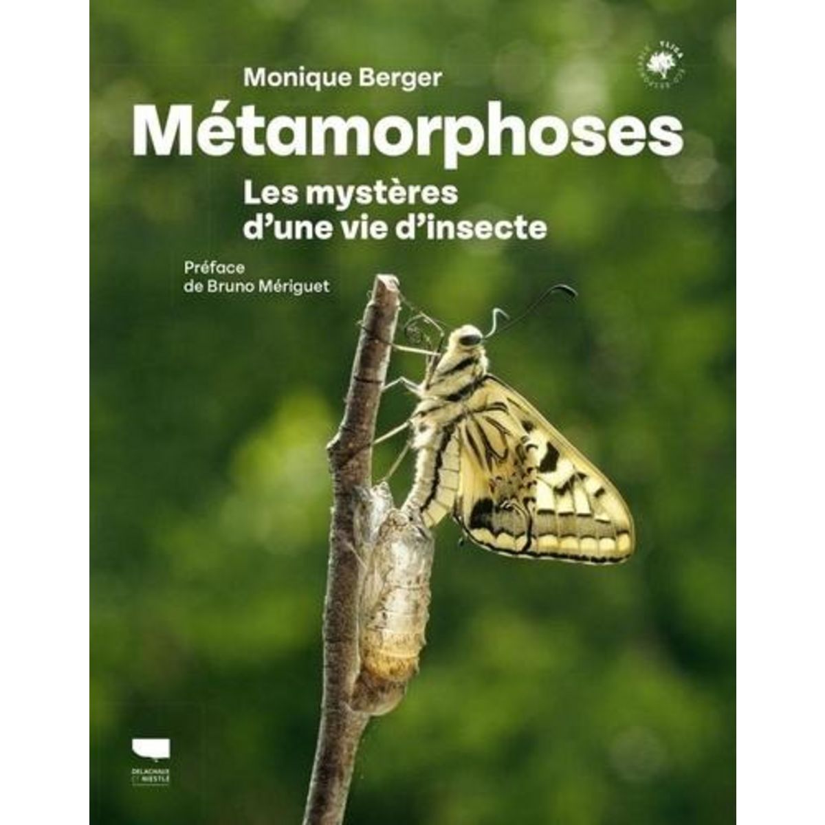 METAMORPHOSES. LES MYSTERES D'UNE VIE D'INSECTE, Berger Monique