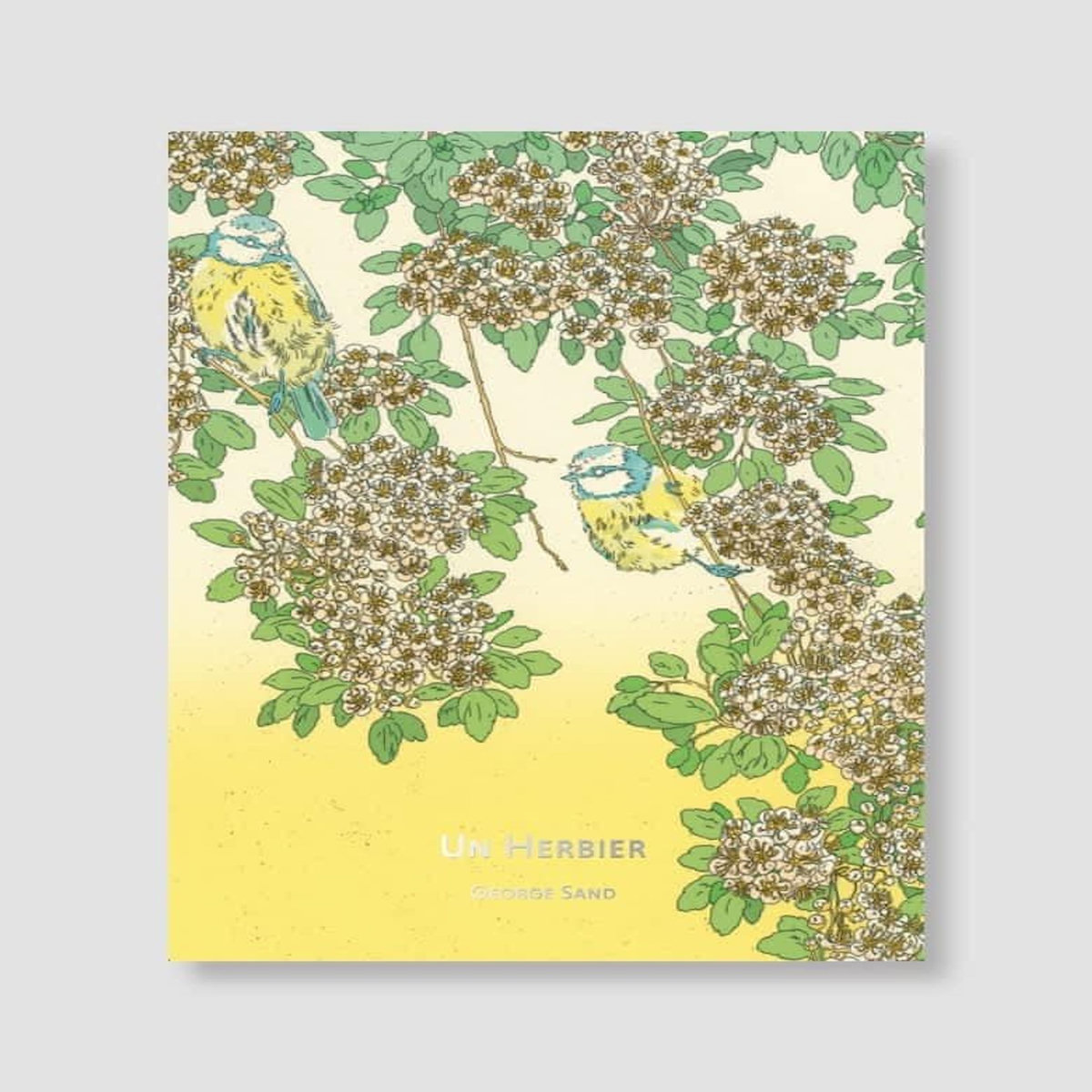 UN HERBIER, Sand George