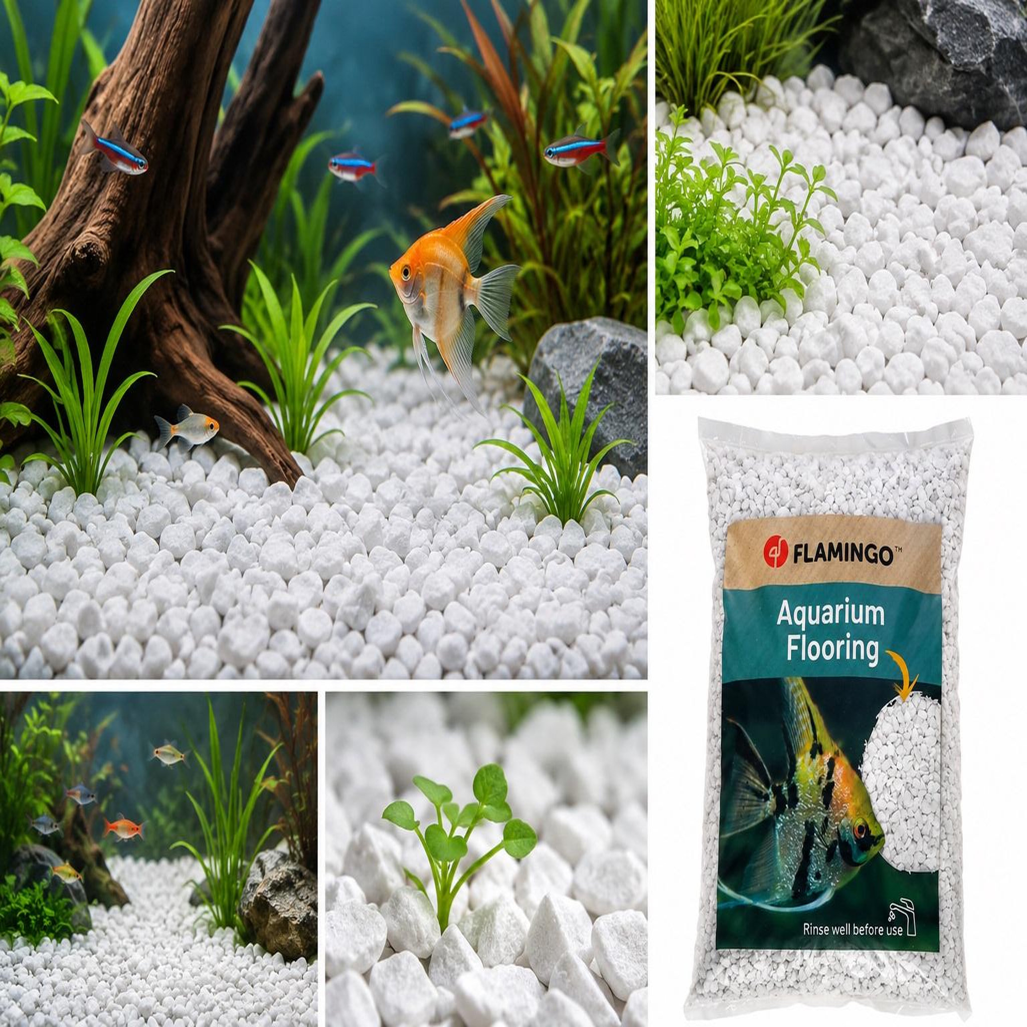 Voir la diapositive 4 : Eden Gravier décoratif blanc pour aquarium 10 kg