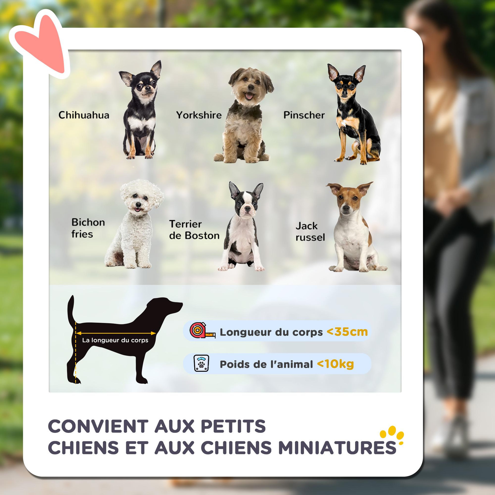 Voir la diapositive 4 : PAWHUT Poussette buggy pour chiens 75l x 46l x 94h cm pliable imperméable tissu 600d oxford 4 roues gris