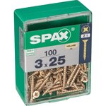 CENTRALE BRICO Lot de 100 vis acier tête fraisée pozidriv SPAX, Diam.3 mm x L.25 mm