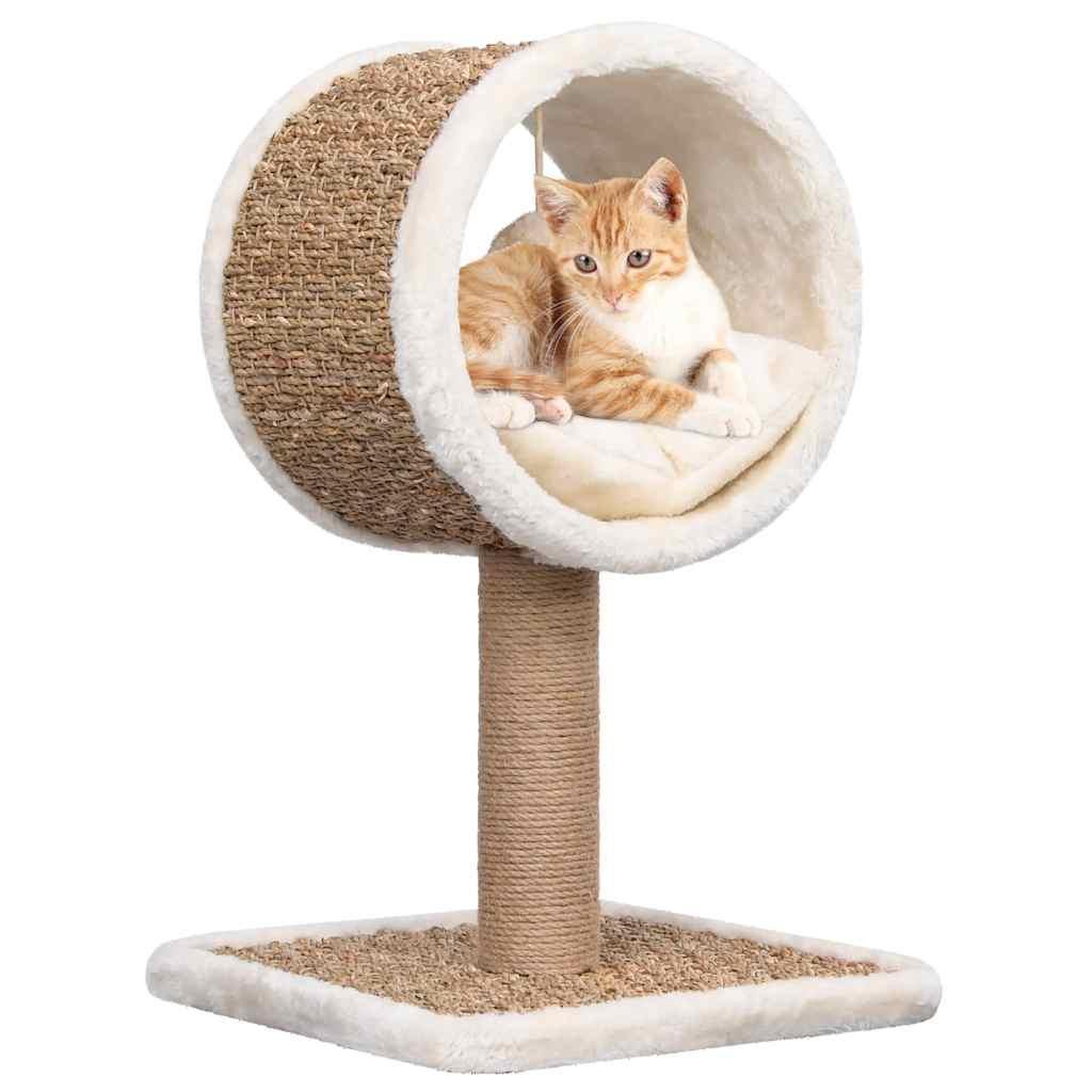 VIDAXL Arbre a chat et tunnel superieur et jouet 56 cm herbiers marins
