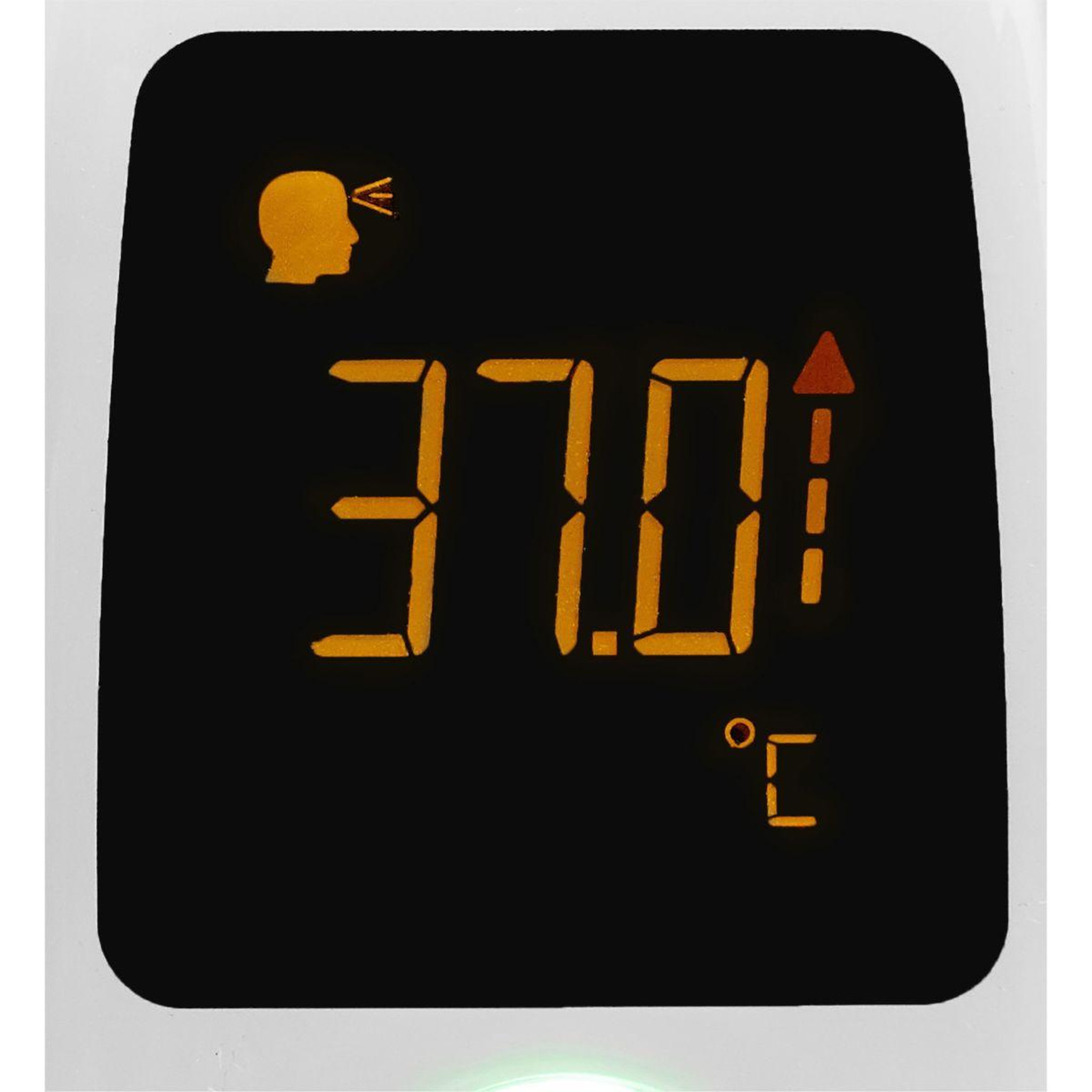 Voir la diapositive 5 : Terraillon Thermomètre thermo fast
