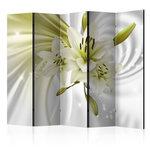 Paris Prix Paravent 5 Volets  Green Captivation  172x225cm