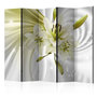 Voir la diapositive 1 : Paris Prix Paravent 5 Volets  Green Captivation  172x225cm
