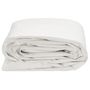 Voir la diapositive 3 : VIDAXL Bache blanc 4x8 m 650 g/m²