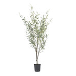 PLANT IN A BOX Olivier artificiel - Hauteur 150cm