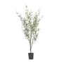 Voir la diapositive 1 : PLANT IN A BOX Olivier artificiel - Hauteur 150cm