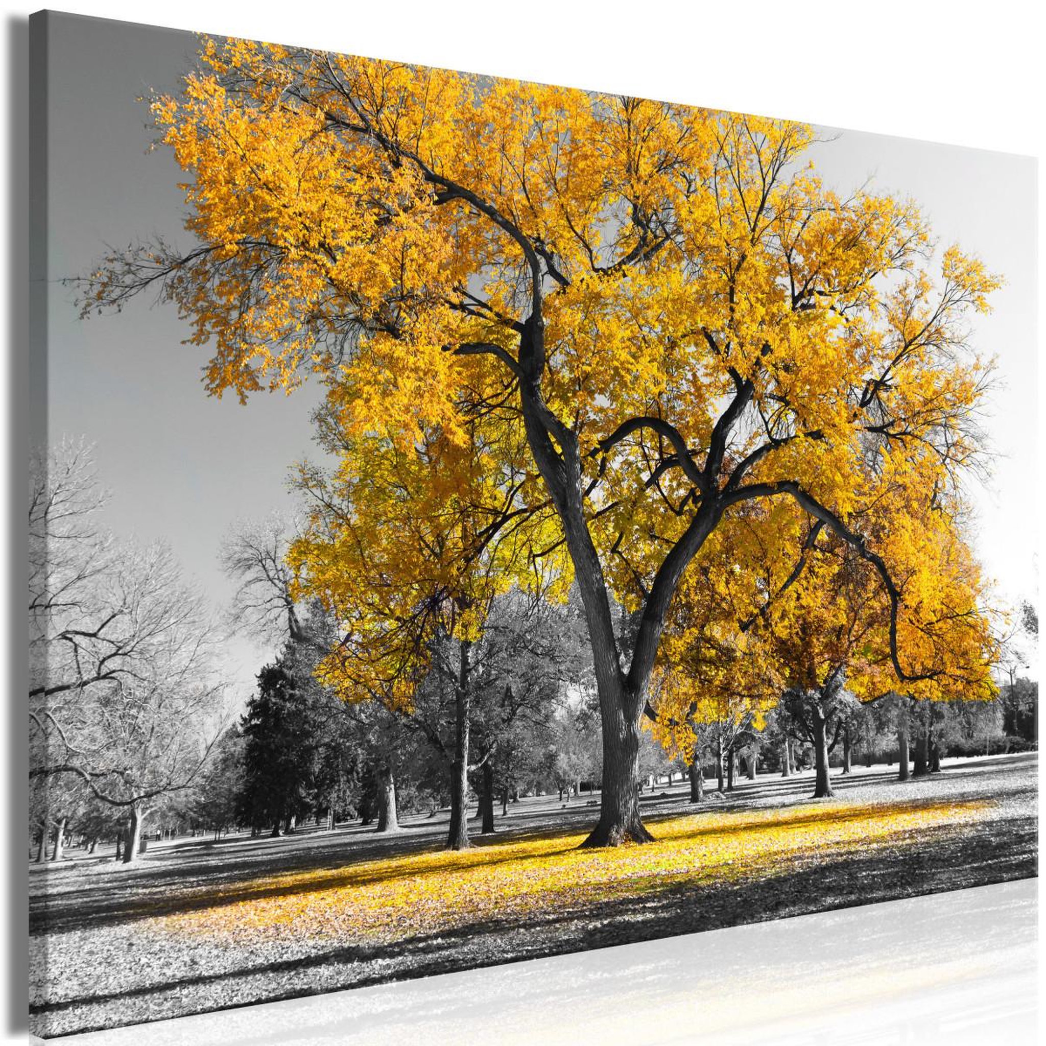 Voir la diapositive 1 : Paris Prix Tableau Imprimé  Autumn in the Park Wide Gold