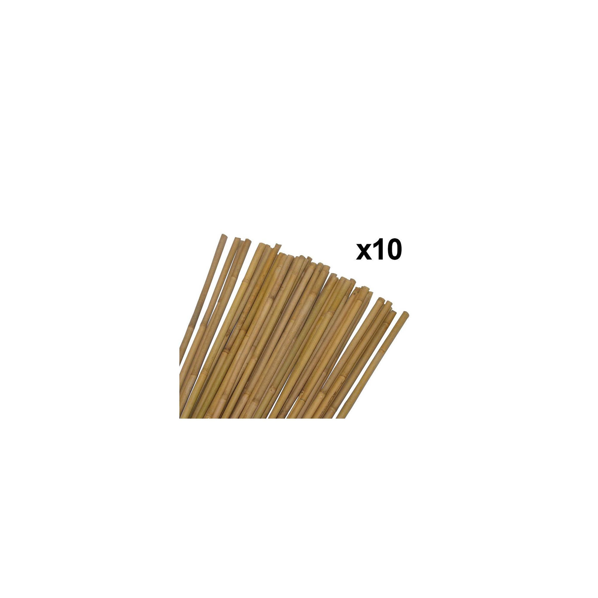 Voir la diapositive 3 : Lot de 10 tuteurs pour plantes et légumes - En bambou - Hauteur : 60 cm