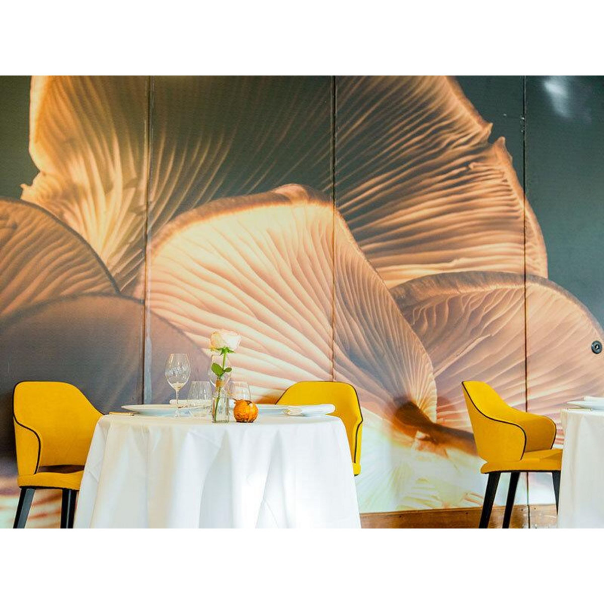 Smartbox Adresses primées : menu 7 plats au restaurant Manoir du Lys à Bagnoles-de-l'Orne - Coffret Cadeau Gastronomie