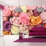 Paris Prix Papier Peint  Roses Pastels  270x450cm