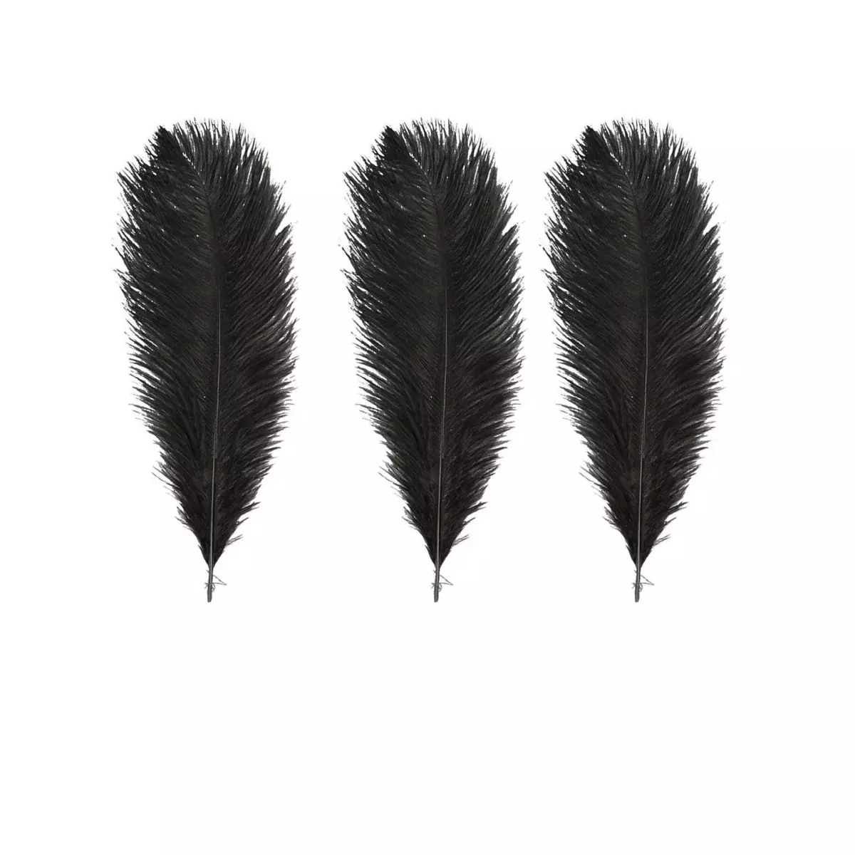 Artemio 3 plumes d'autruche noires