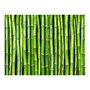 Paris Prix Papier Peint  Mur Vert Bambou 