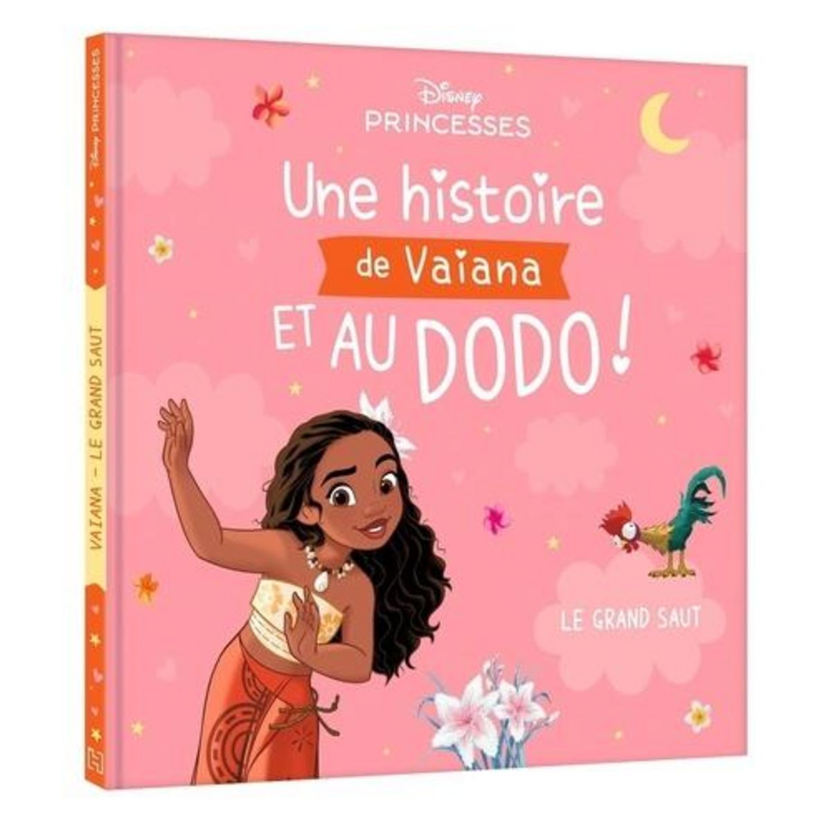 UNE HISTOIRE DE VAIANA ET AU DODO ! LE GRAND SAUT, Foulatier Amélie