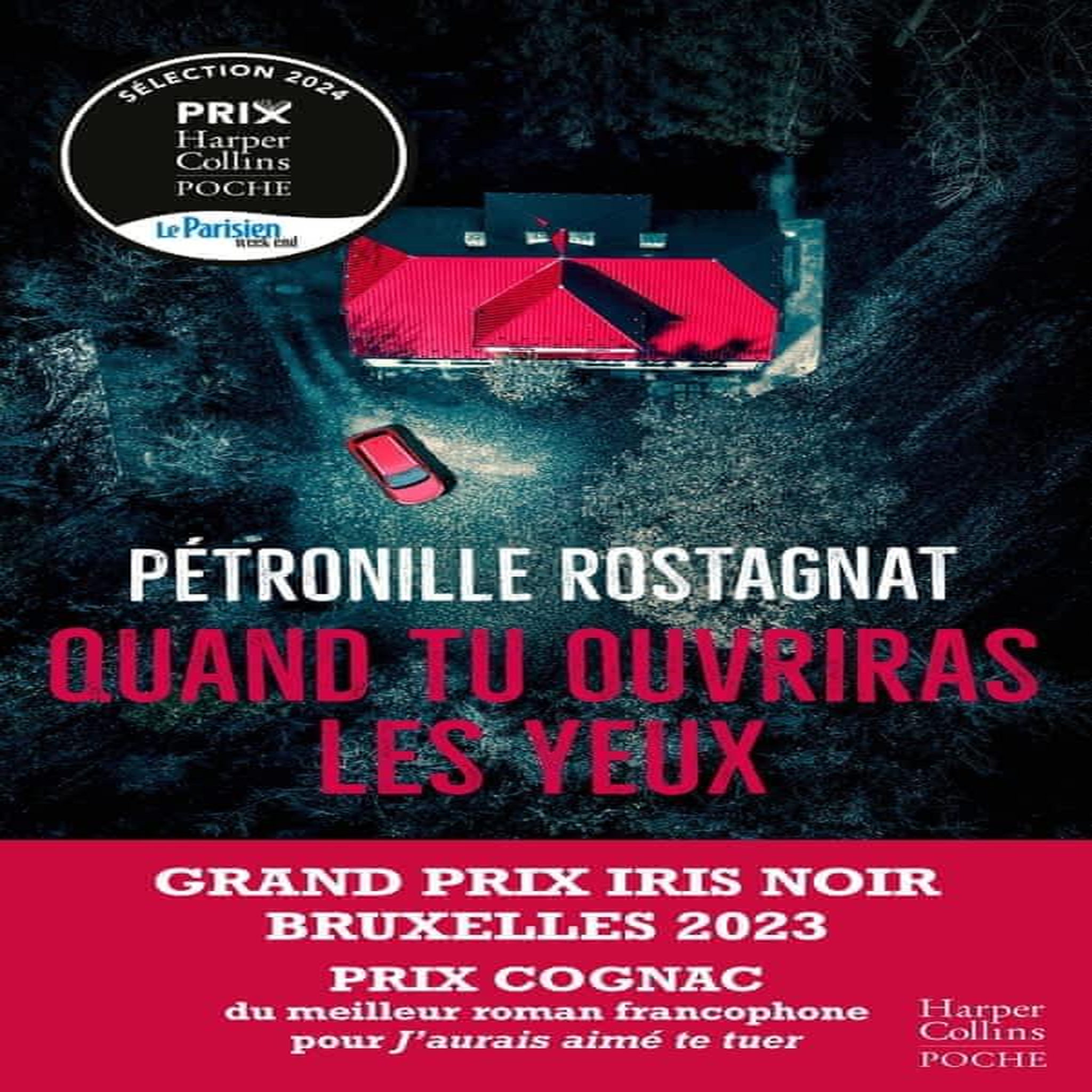 QUAND TU OUVRIRAS LES YEUX, Rostagnat Pétronille