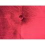 Voir la diapositive 3 : Paris Prix Tête de Lit Capitonnée en Velours  Amor  160cm Rouge