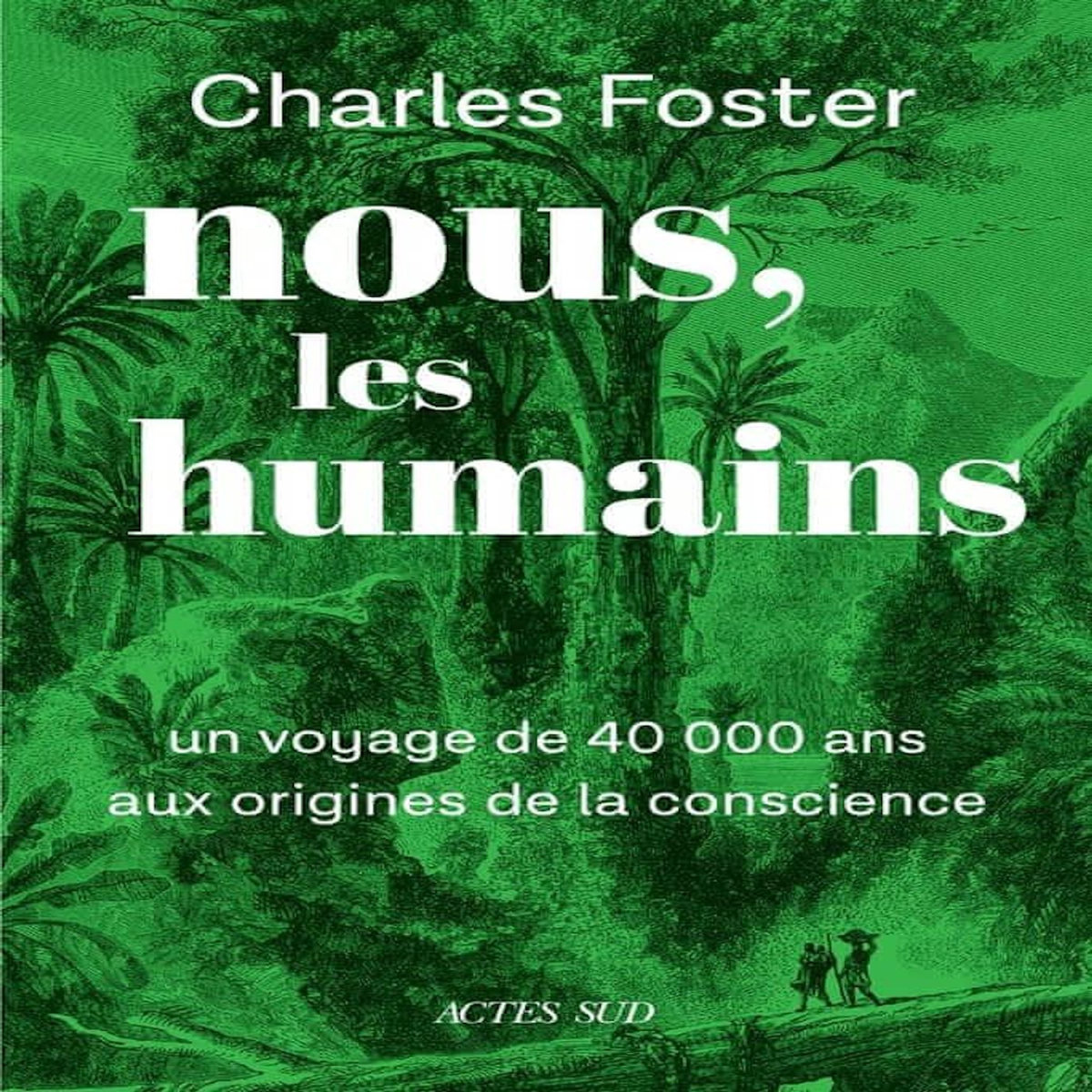 NOUS, LES HUMAINS. UN VOYAGE DE 40000 ANS AUX ORIGINES DE LA CONSCIENCE, Foster Charles