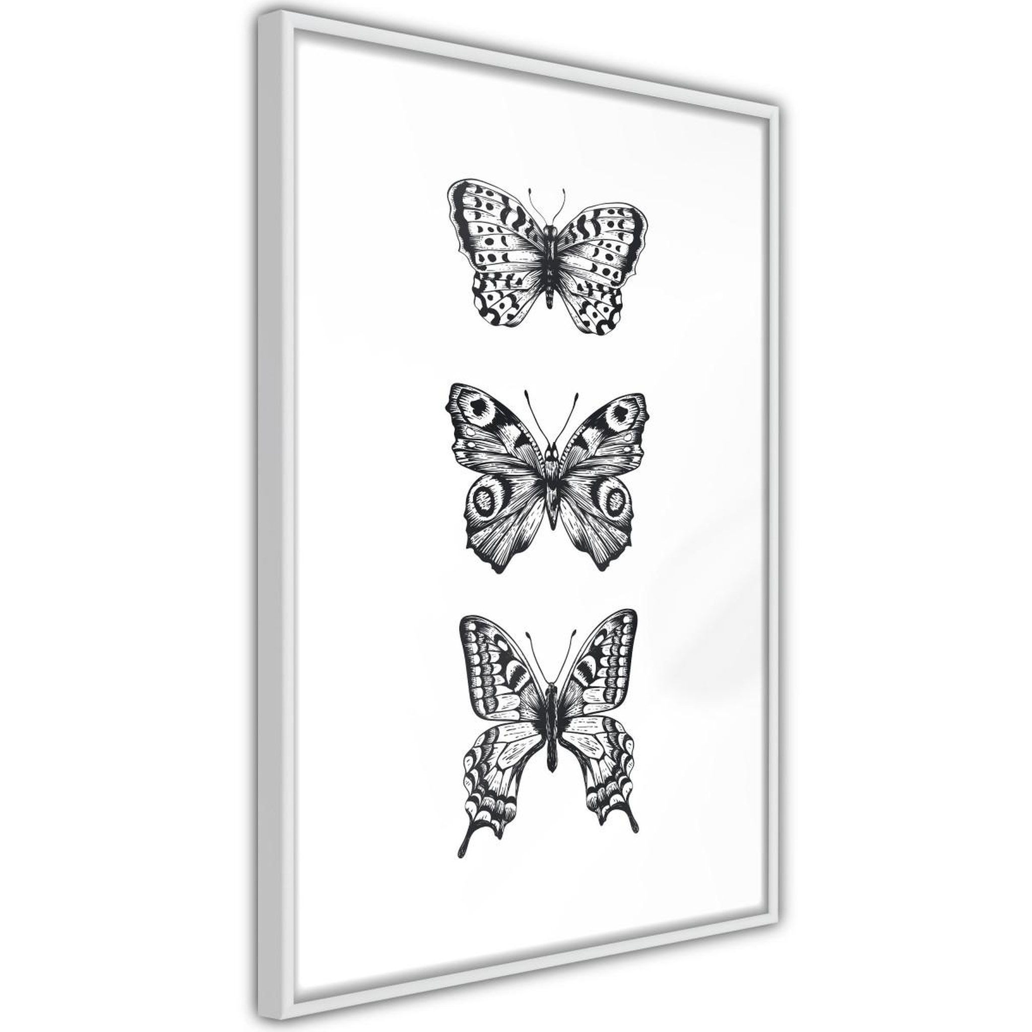 Paris Prix Affiche murale encadrée  butterfly collection iii