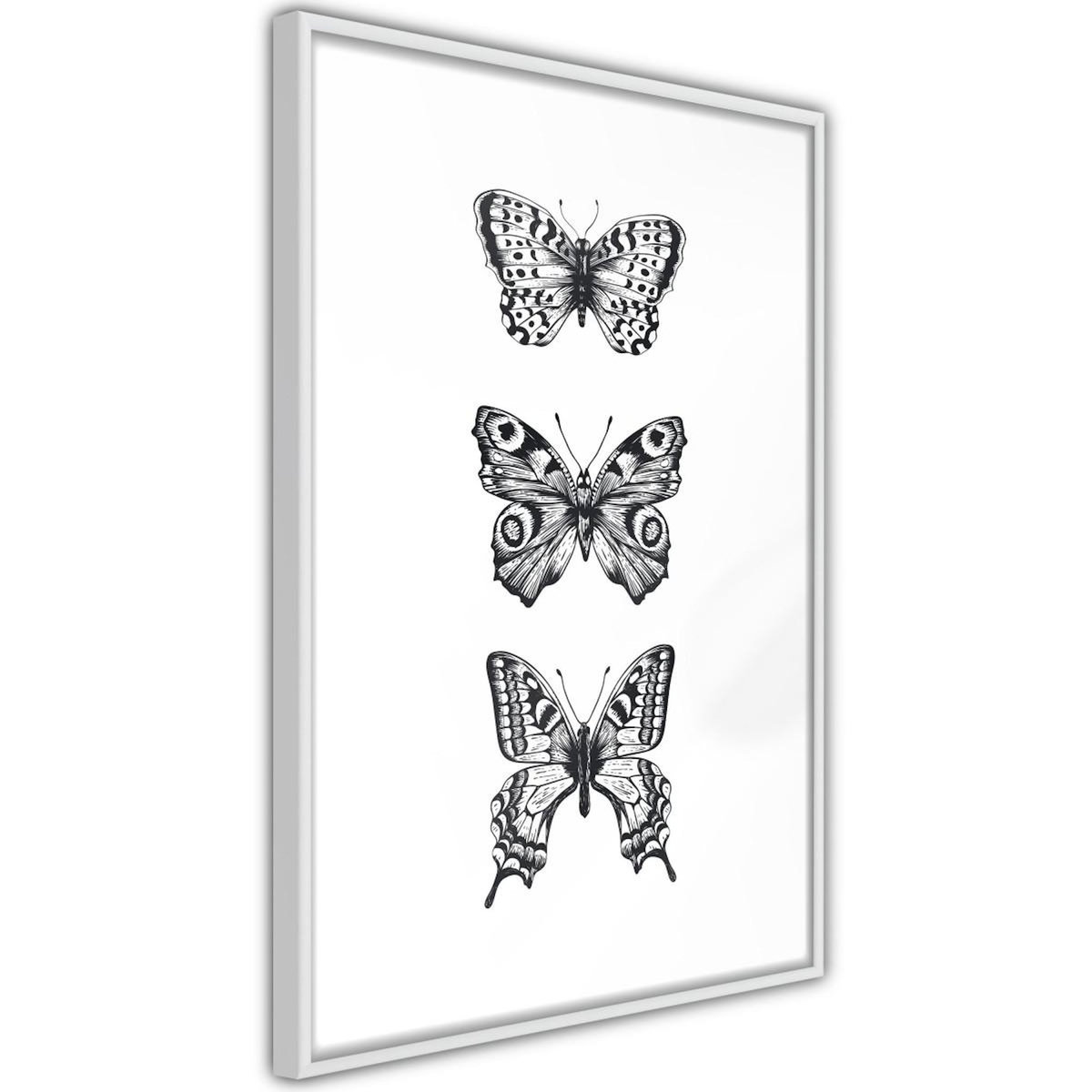 Paris Prix Affiche Murale Encadrée  Butterfly Collection III