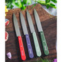 Voir la diapositive 2 : Opinel Couteau Coffret de 4 pcs N112 Paysage