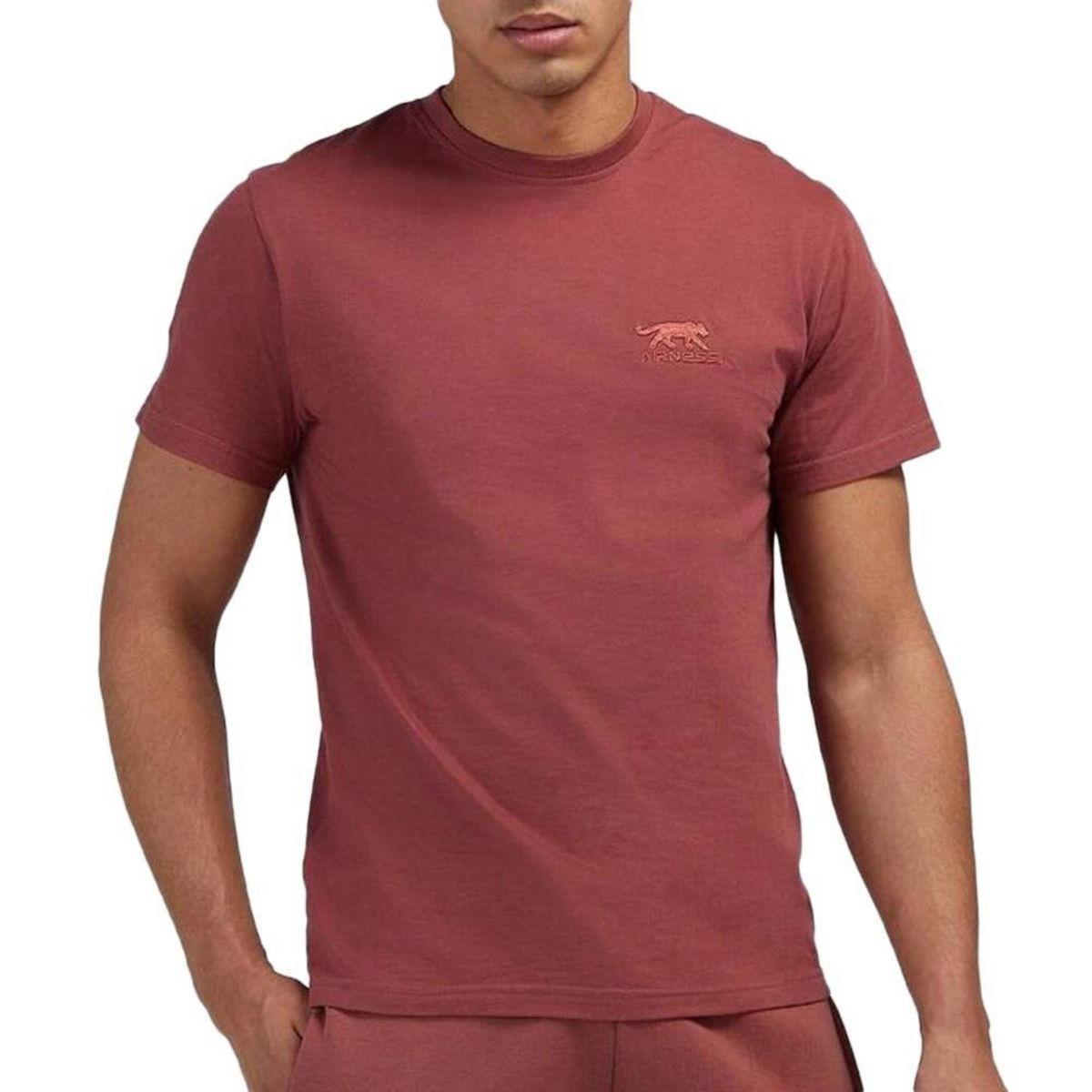 Airness T-shirt  Homme Airness Predator