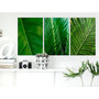Voir la diapositive 2 : Paris Prix Tableau Imprimé  Leaves Collection