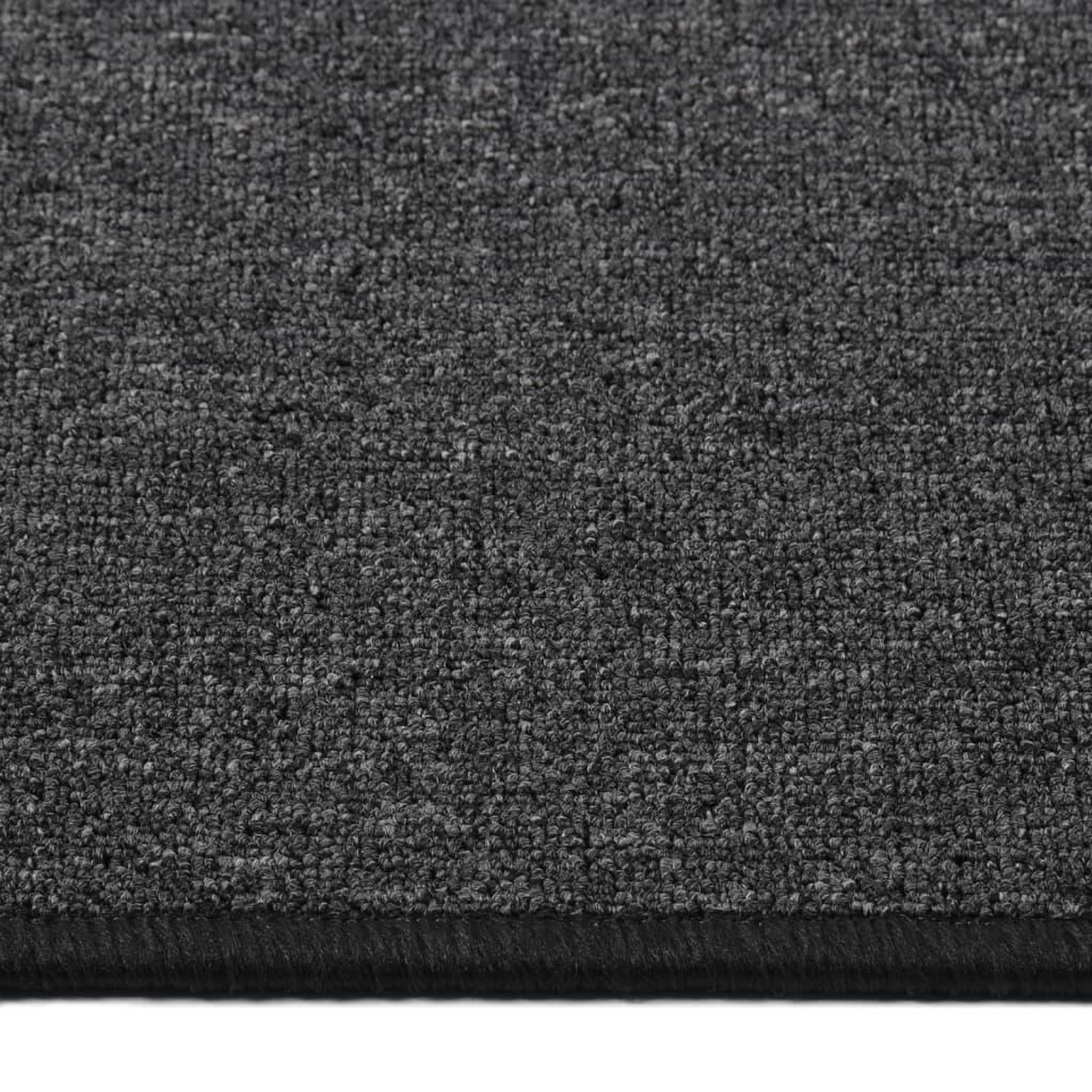 Voir la diapositive 4 : VIDAXL Tapis de couloir Anthracite 80x300 cm
