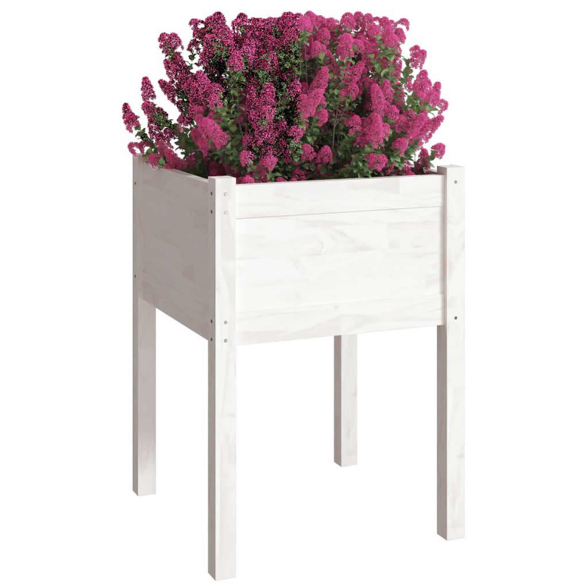 Voir la diapositive 3 : VIDAXL Jardiniere Blanc 50x50x70 cm Bois de pin massif