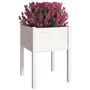 Voir la diapositive 3 : VIDAXL Jardiniere Blanc 50x50x70 cm Bois de pin massif