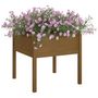 Voir la diapositive 3 : VIDAXL Jardiniere d'exterieur Marron miel 70x70x70 cm Pin massif