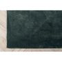 Voir la diapositive 4 : Paris Prix Tapis Déco  Undra  200x300cm Vert