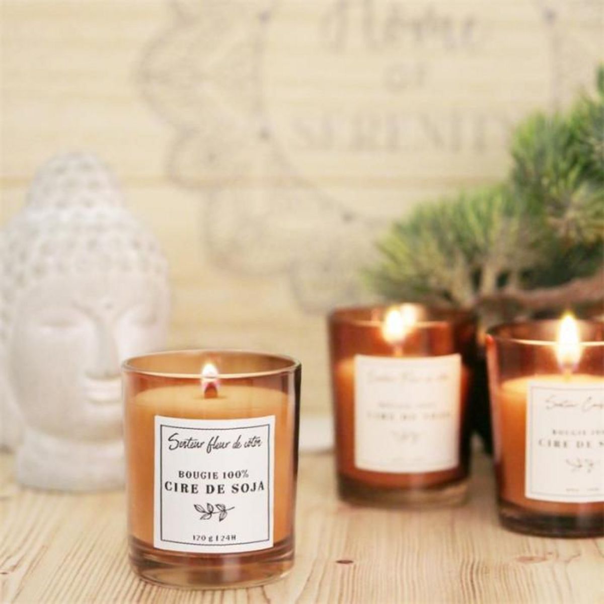 Paris Prix Bougie Parfumée  Cire de Soja  8cm Fleur de Coton