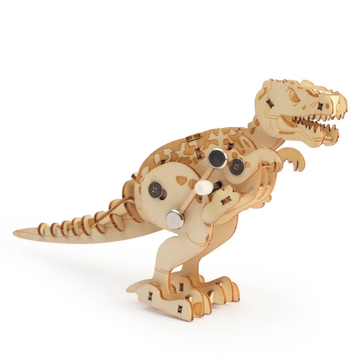 Graine créative T-Rex Maquette en bois 3D mécanique à assembler