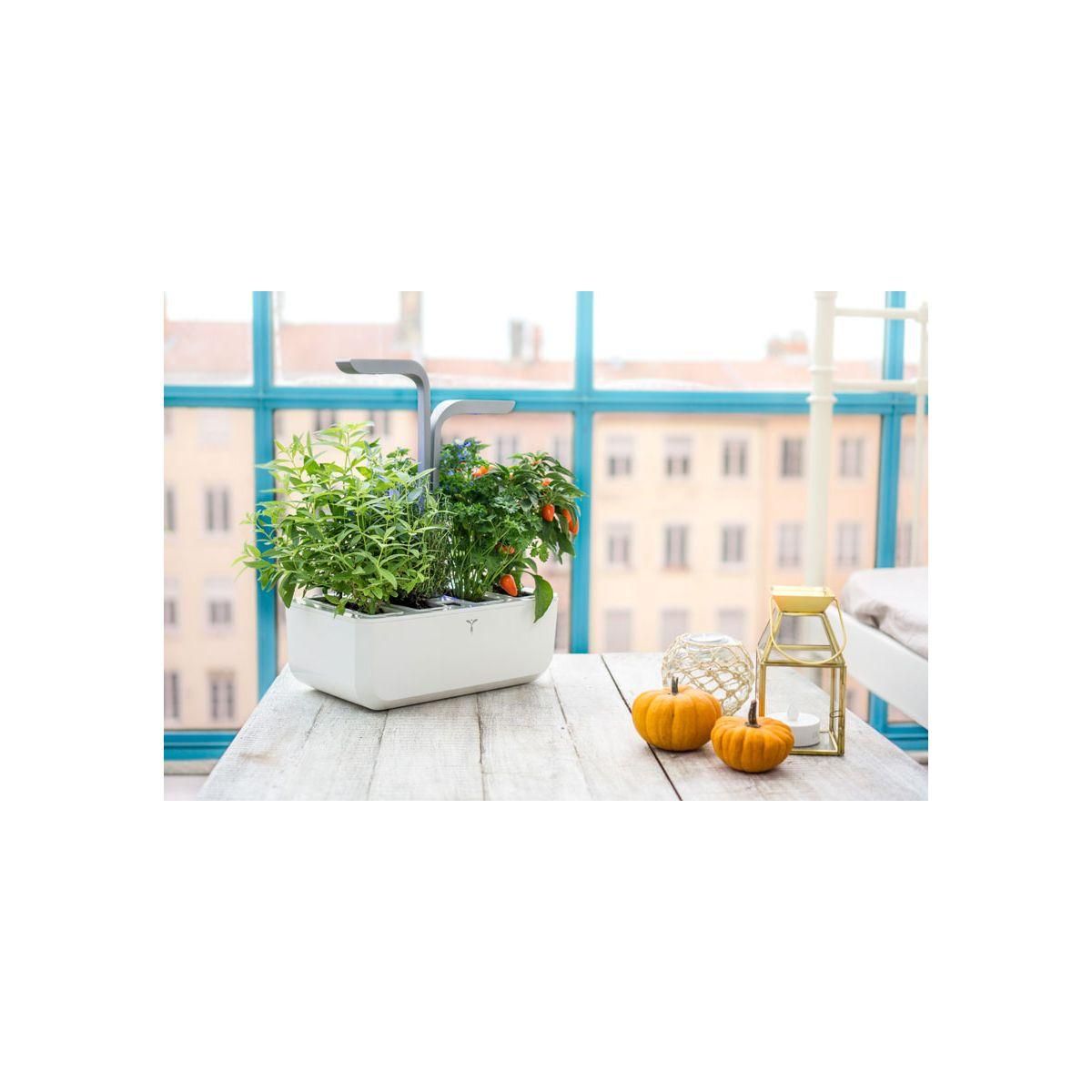 VERITABLE Jardin d'intérieur Classic Blanc