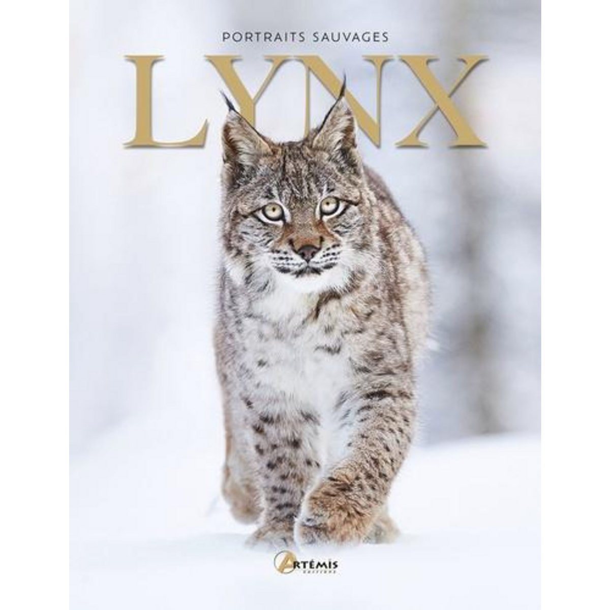 LYNX, Dupérat Maurice