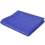 Voir la diapositive 3 : VIDAXL vidXL Couverture de piscine PE Rectangulaire 90 g/sqm 400 x 207 cm